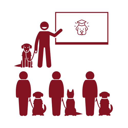 hundecoaching-trainingsmethoden