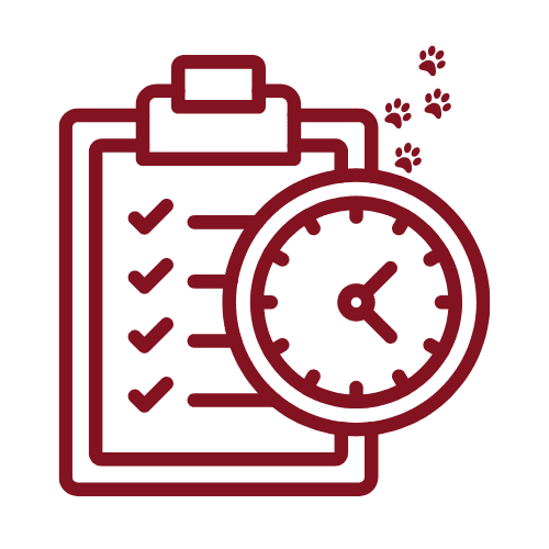 hundecoaching-zeitplan